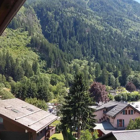Beau 3 Pieces Spacieux Avec Parking Proche Du Mont Blanc - 6 Pers. شقة